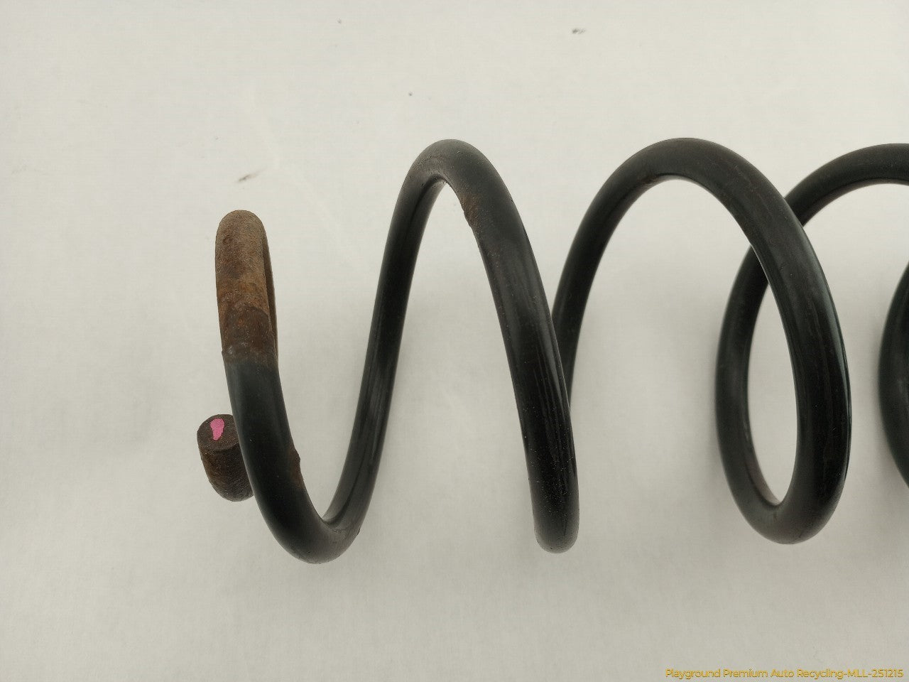 Volkswagen Beetle Pair Of Rear Coil Springs