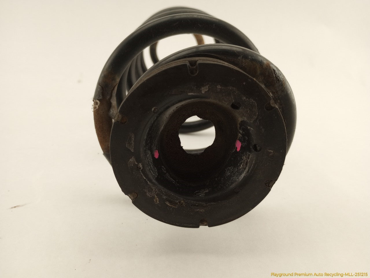 Volkswagen Beetle Pair Of Rear Coil Springs