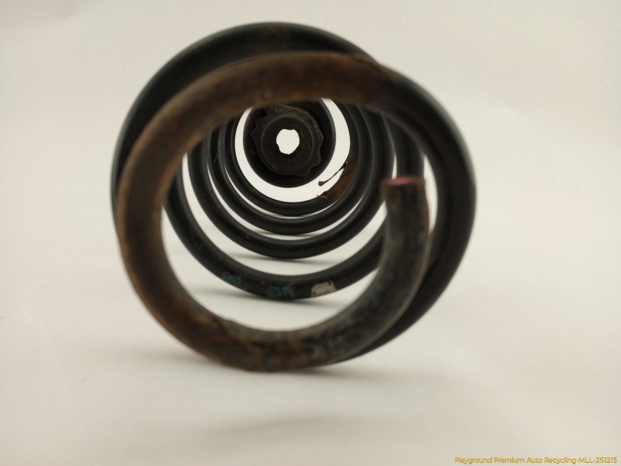 Volkswagen Beetle Pair Of Rear Coil Springs
