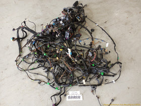 Volkswagen Beetle Vehicle Body Wire Harness