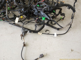 Volkswagen Beetle Vehicle Body Wire Harness - 0