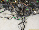 Volkswagen Beetle Vehicle Body Wire Harness-3