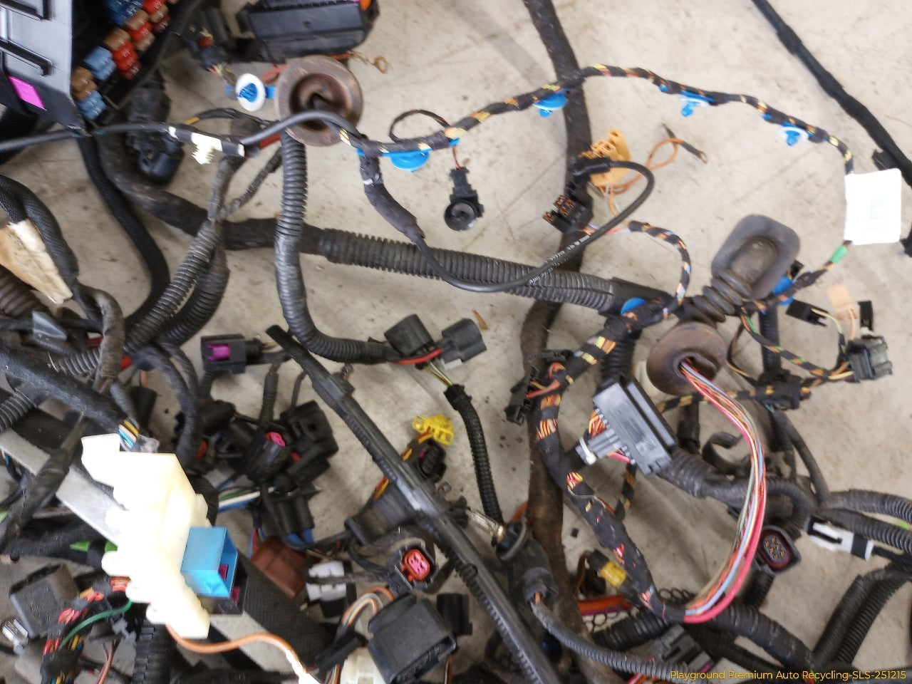 Volkswagen Beetle Vehicle Body Wire Harness