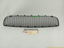 Volkswagen Beetle Front Bumper Center Lower Grille-1