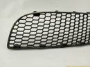 Volkswagen Beetle Front Bumper Center Lower Grille-4