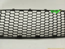 Volkswagen Beetle Front Bumper Center Lower Grille-5