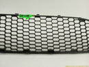 Volkswagen Beetle Front Bumper Center Lower Grille-6