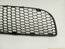Volkswagen Beetle Front Bumper Center Lower Grille-7