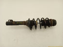 Volkswagen Beetle Passenger Right Front Strut-11