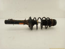 Volkswagen Beetle Passenger Right Front Strut-12