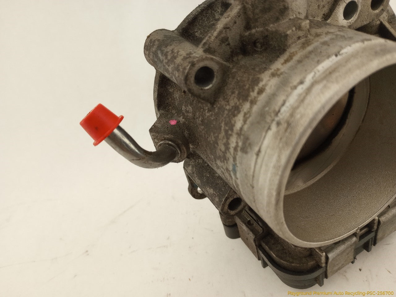 Volkswagen Beetle Throttle Body
