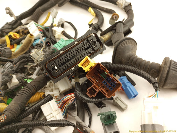 Acura TSX Vehicle Wiring Pigtails