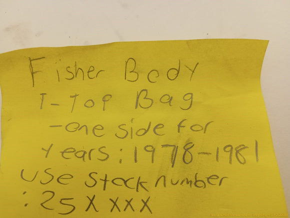 Aftermarket Fisher Body T-Top Bag