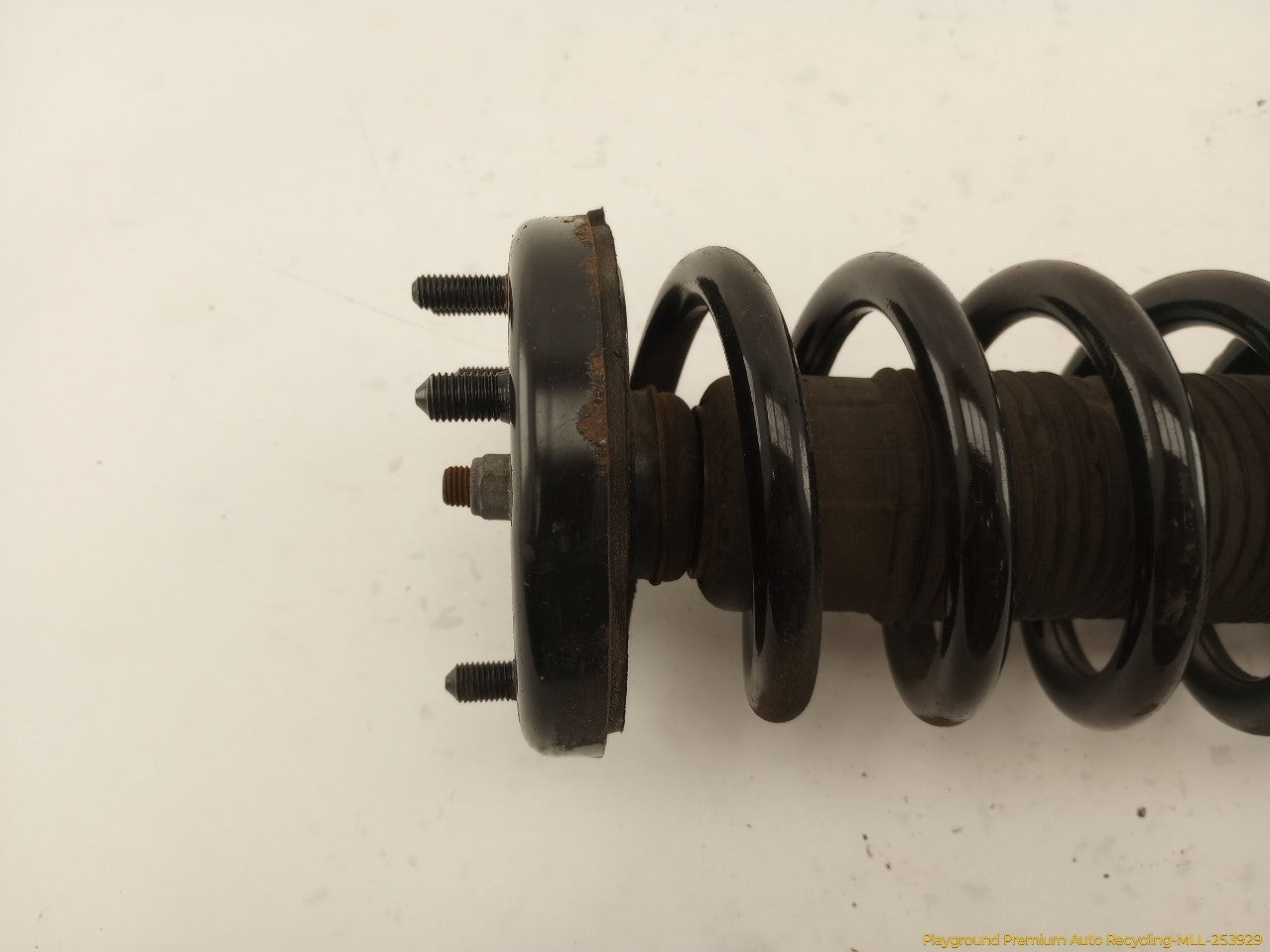 Acura TSX Pair Of Front Struts