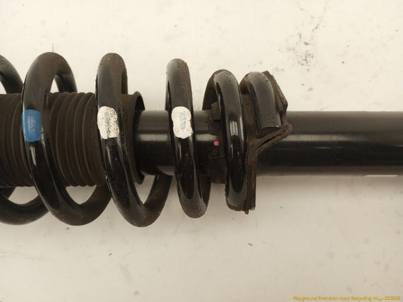 Acura TSX Pair Of Front Struts