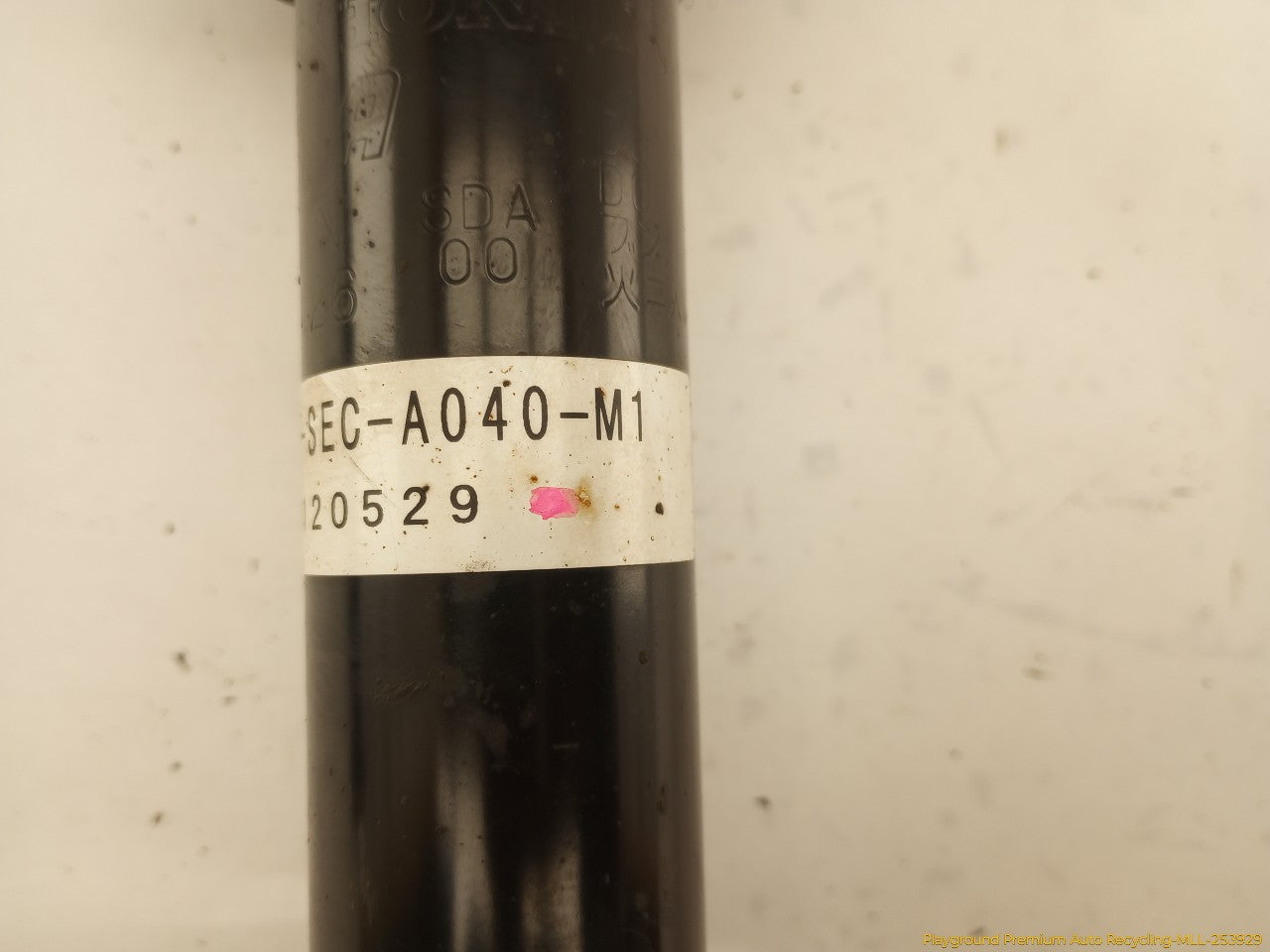 Acura TSX Pair Of Front Struts