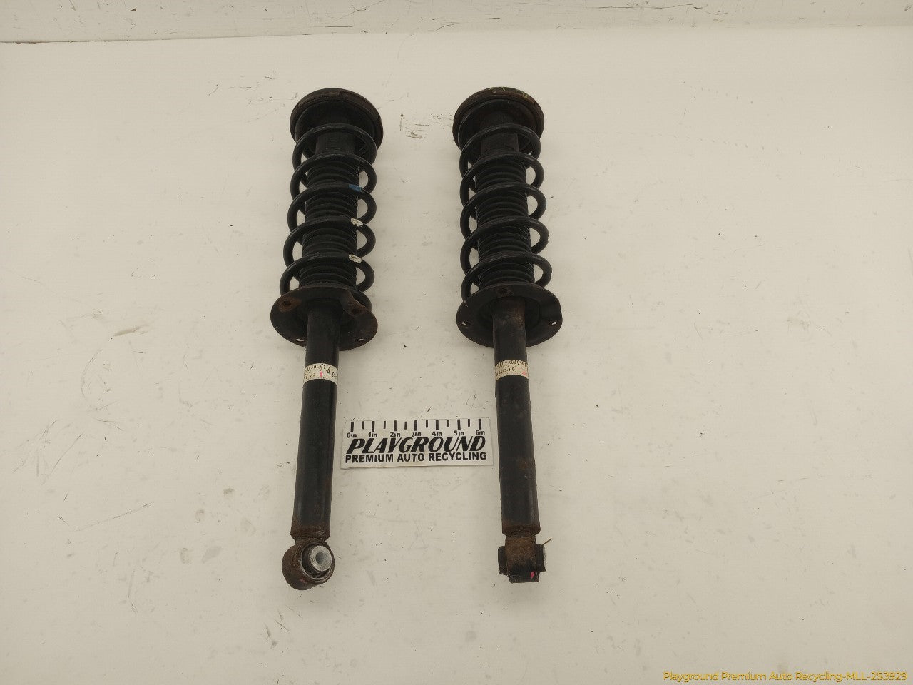 Acura TSX Pair Of Rear Struts