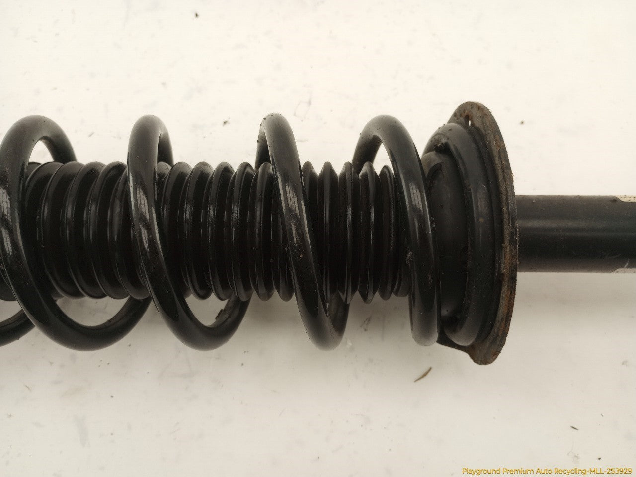 Acura TSX Pair Of Rear Struts