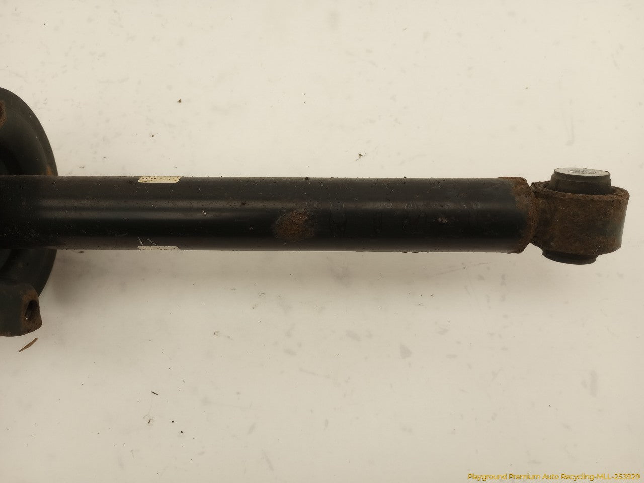 Acura TSX Pair Of Rear Struts