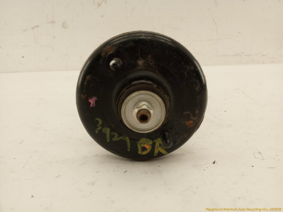 Acura TSX Pair Of Rear Struts