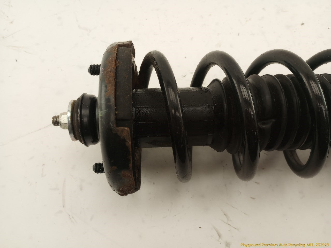 Acura TSX Pair Of Rear Struts