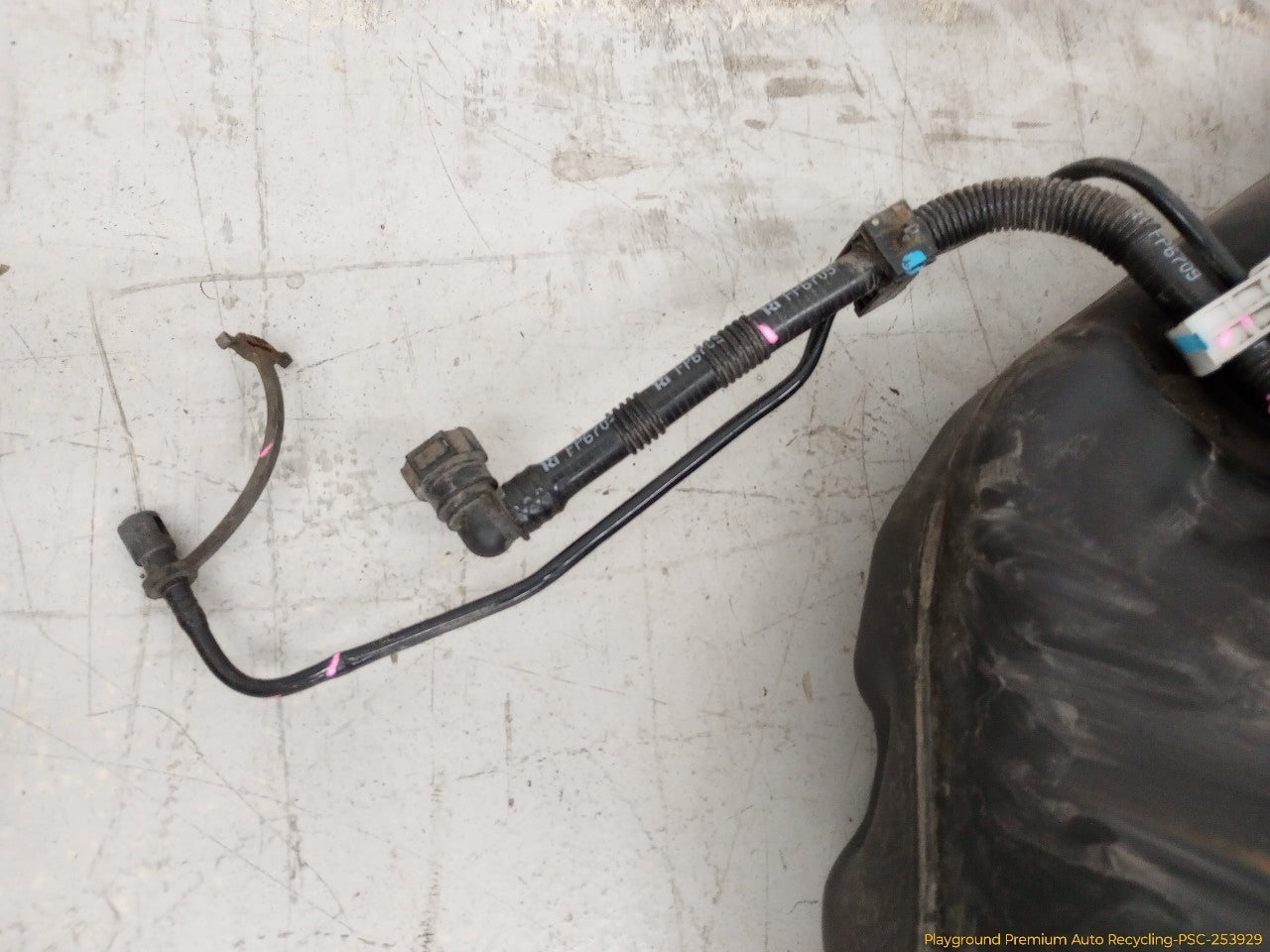Acura TSX Fuel Gas Tank