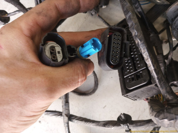 Mini Cooper Vehicle Body Wire Harness