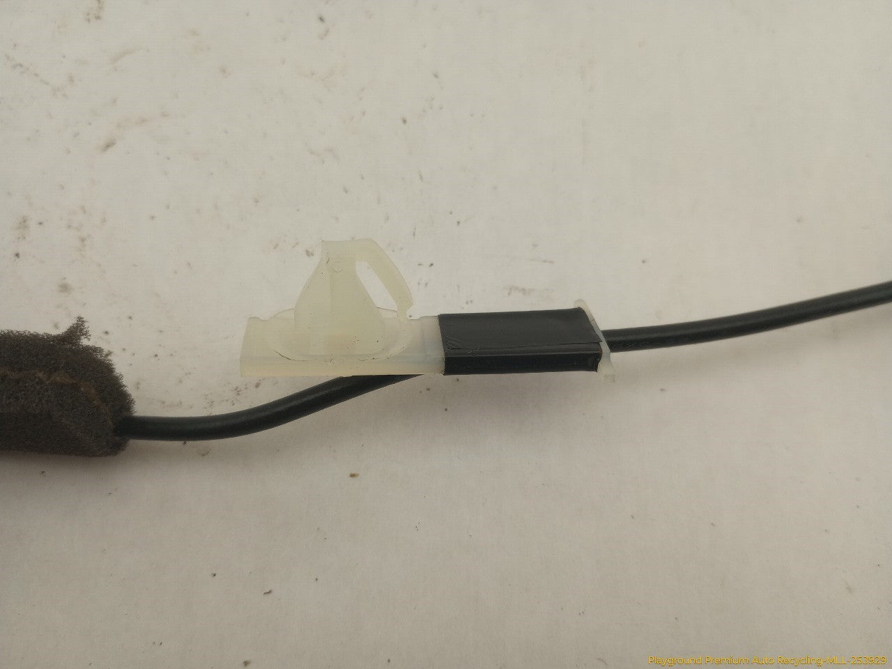 Acura TSX Roof Antenna
