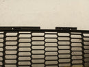 Mini Clubman Radiator Grille-6