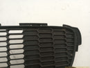 Mini Clubman Radiator Grille-7