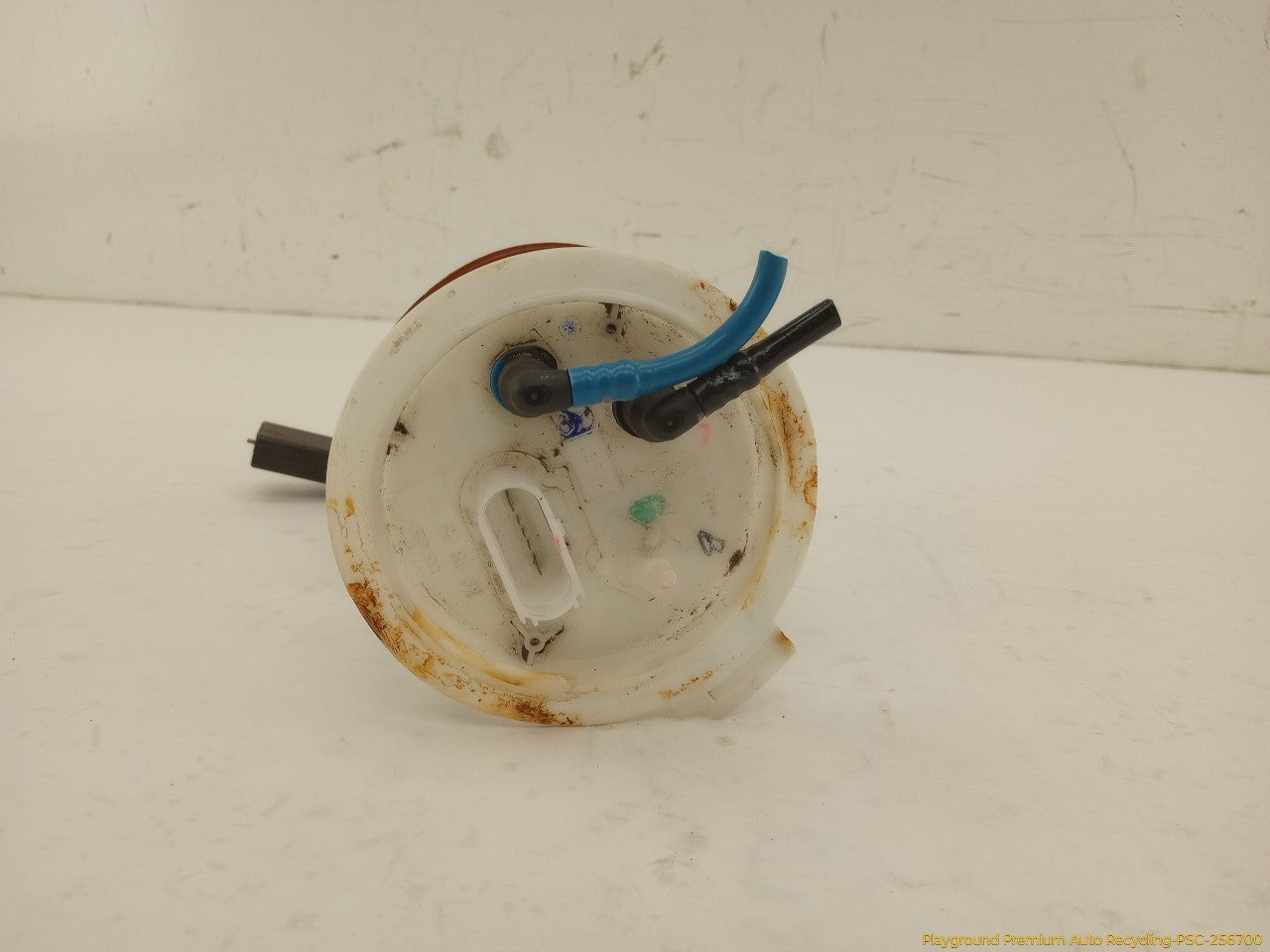 Volkswagen Beetle Fuel Pump - 0