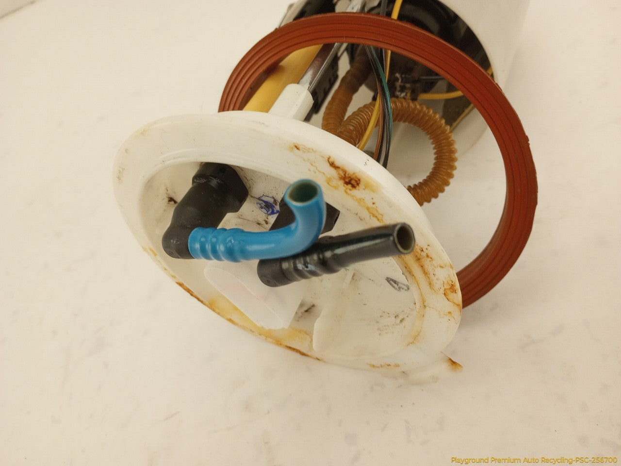Volkswagen Beetle Fuel Pump