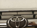 Toyota 4Runner Radiator Grille-5