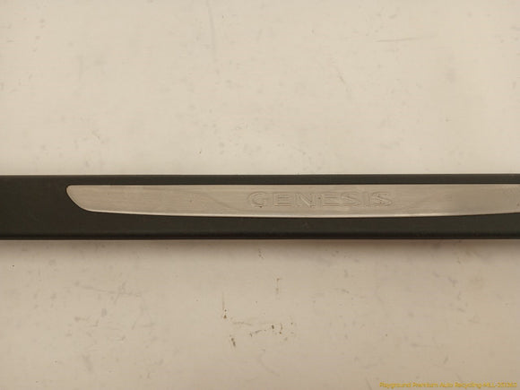 Hyundai Genesis Pair Of Front Door Sill Step Plates