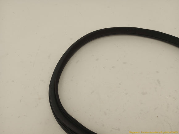 Scion TC Passenger Right Front Door Molding