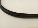 Scion TC Passenger Right Front Door Molding-5