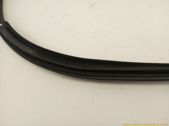 Scion TC Passenger Right Front Door Molding