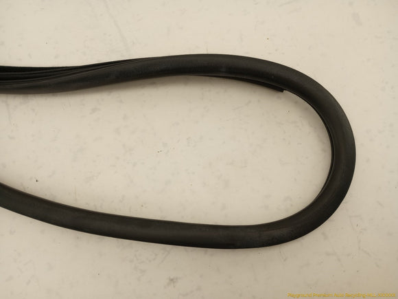 Scion TC Passenger Right Front Door Molding