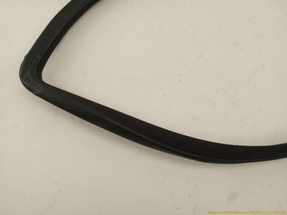 Scion TC Passenger Right Front Door Molding