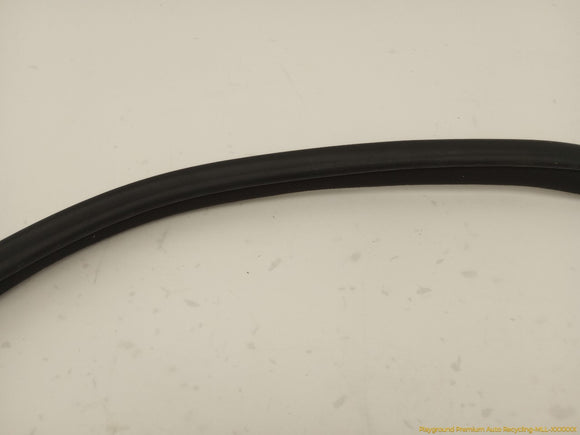 Scion TC Passenger Right Front Door Molding