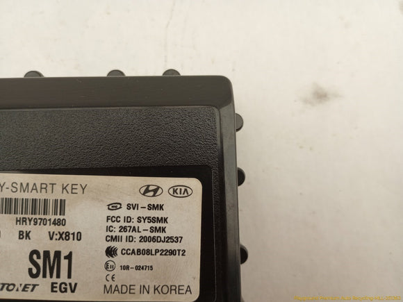 Hyundai Genesis Keyless Entry Control Module