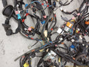 Toyota MR2 Vehicle Body Wire Harness-6