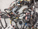 Toyota MR2 Vehicle Body Wire Harness-9