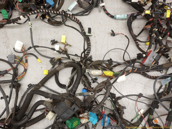 Jaguar XK8 Vehicle Body Wire Harness