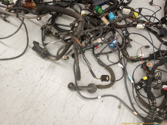 Jaguar XK8 Vehicle Body Wire Harness