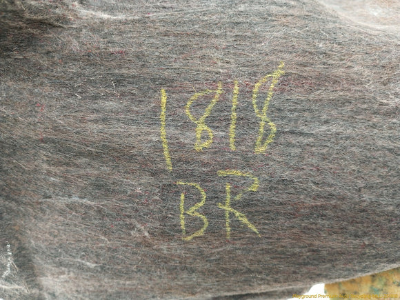 Subaru Legacy Passenger Right Trunk Side Trim