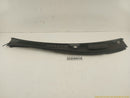Hyundai Genesis Cowl Cover Bezel Trim-1