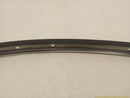Hyundai Genesis Set Of 4 Front Door Window Molding-4