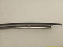 Hyundai Genesis Set Of 4 Front Door Window Molding-5
