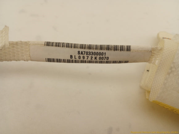 Hyundai Genesis Driver Left Side Curtain Airbag